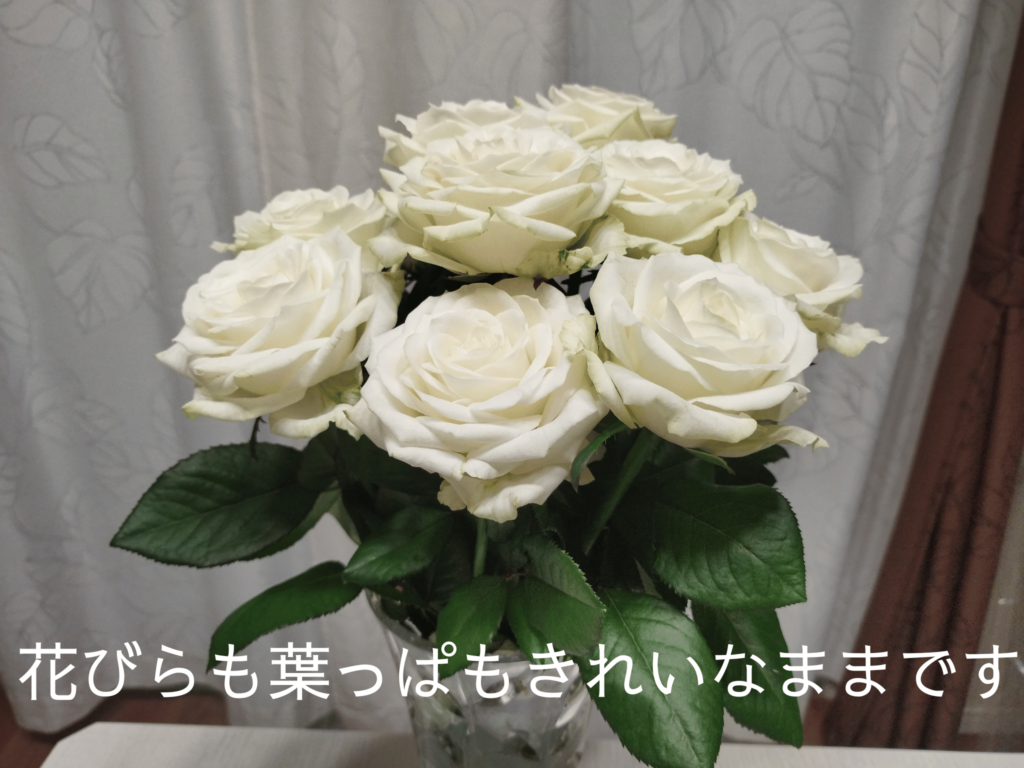 花瓶に活けた白いバラの花束